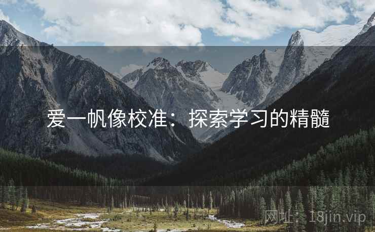 爱一帆像校准：探索学习的精髓