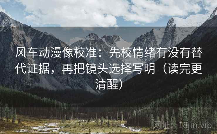 风车动漫像校准：先校情绪有没有替代证据，再把镜头选择写明（读完更清醒）
