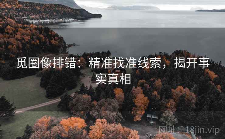 觅圈像排错：精准找准线索，揭开事实真相